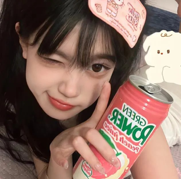 飞燕迎春